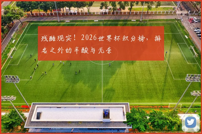 残酷现实!2026世界杯积分榜,排名之外的辛酸与无奈