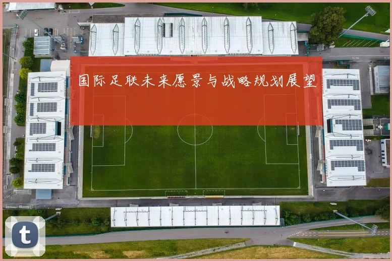国际足联未来愿景与战略规划展望