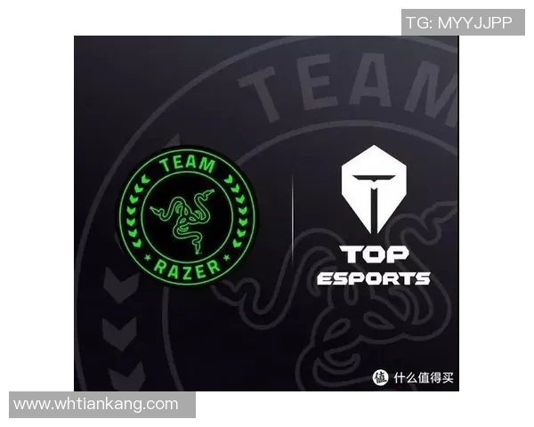 电竞俱乐部估值分析揭示全球TOP20俱乐部价值排行榜及其发展潜力